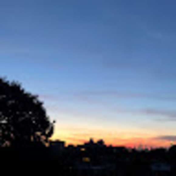 Meet your Posher, Jay - Picture 1 of 1